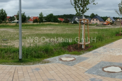 Röthegrund-Magnolienweg3